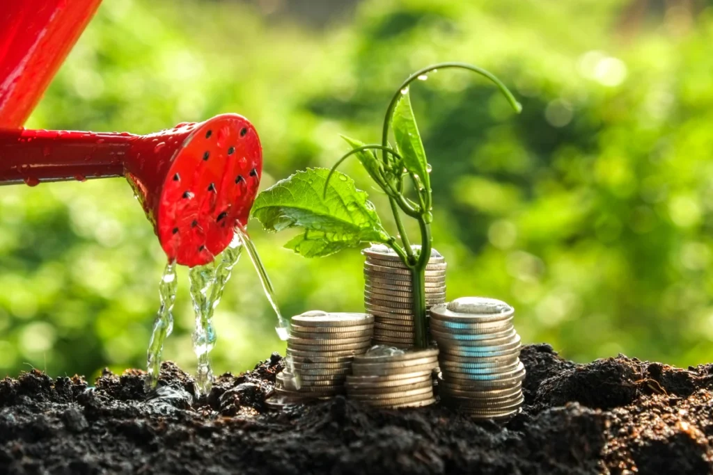 Building wealth: Growing financial success with the Financial Toolkit resources.