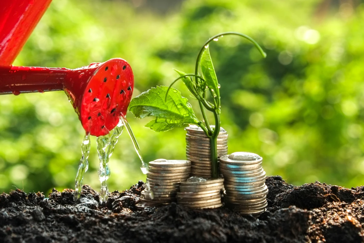 Building wealth: Growing financial success with the Financial Toolkit resources.
