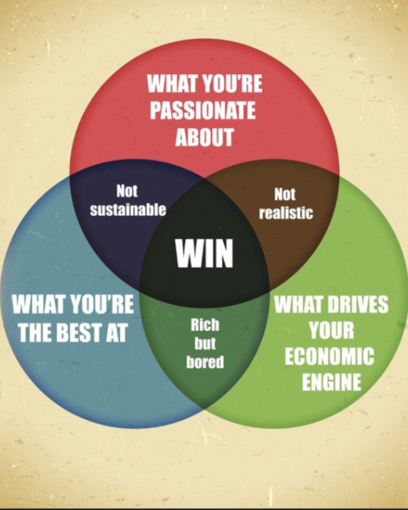 Diagram illustrating the Hedgehog Concept for the best side hustles to start, showing the intersection of passion, skill, and market demand.